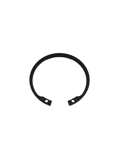 970302-pierscien-segera-62-w