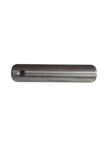 29186013-sworzen