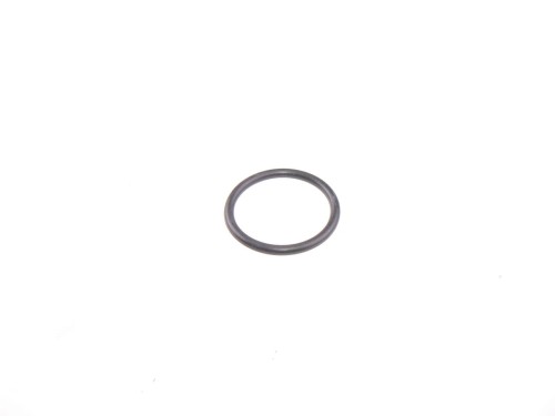 954932-Pierscien-Oring
